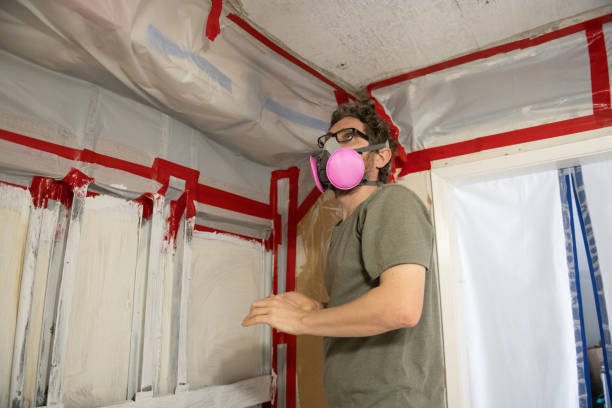 Professional Mold Removal in Tamaqua, PA